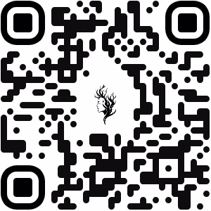 Website Design